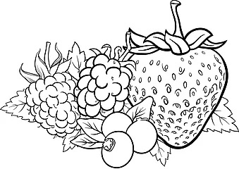 Online coloring book: Coloring book wild rose with other fruits